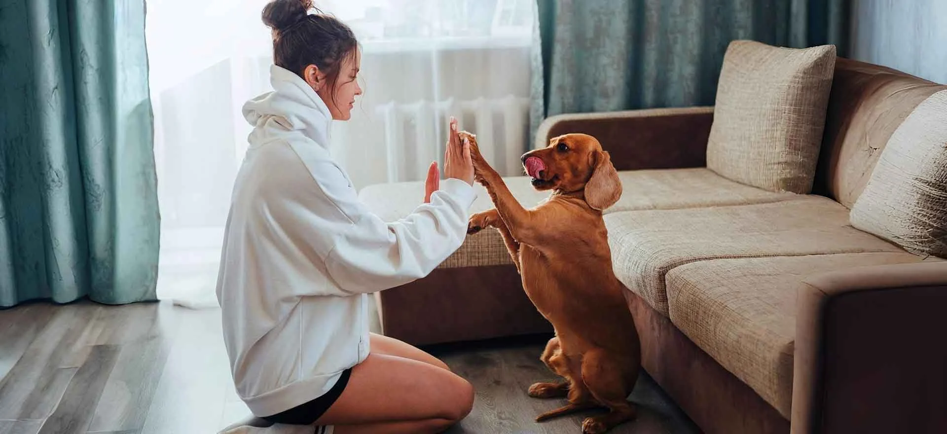 Leisure Time with Pets